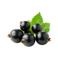 Some Blackcurrant with leaf, front view isolated on a transparent background png