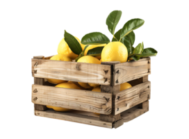 Wooden light wood crate box with lemon, front view, on transparent background png