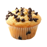 Plain muffin cake with chocolate chips isolated on a transparent background png