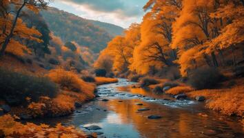 River Flowing Through Autumn Forest with Orange Foliage and Reflections photo