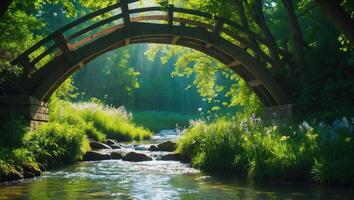 Wooden Bridge Over Flowing Stream in Green Forest with Sunlight photo