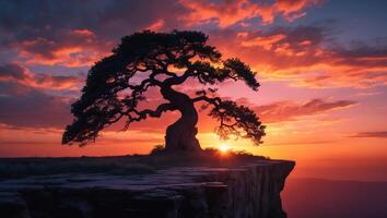 Lone Tree Silhouette on Cliff at Colorful Sunset Landscape photo