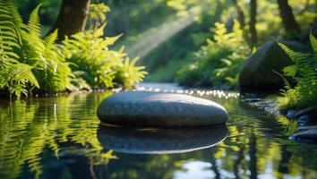 Stone in River with Ferns and Sunbeams Creates Serene Scene photo
