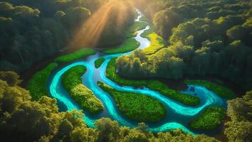 River Through Forest photo