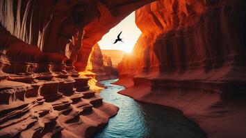 Scenic Canyon with River and Bird at Sunset photo