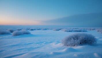 Winter Tundra Landscape with Snow and Frozen Bushes photo