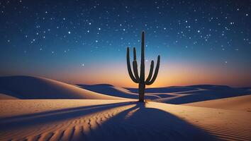 Cactus in Desert Landscape at Night photo