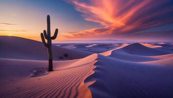A cactus plant stands alone in the desert at sunset photo