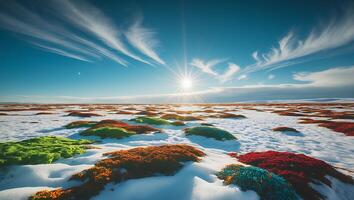 Landscape of Tundra with Snow, Moss and Sky photo