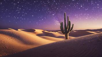 Cactus in Desert Under Starry Sky Landscape photo