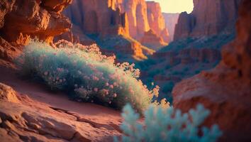 Desert Landscape with Flowering Shrub photo