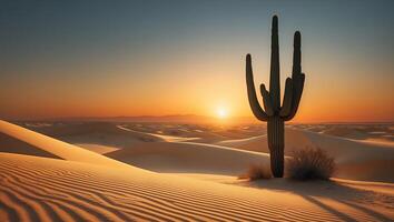 Cactus in Desert at Sunset Landscape photo