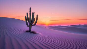 Cactus in Desert During Sunset photo