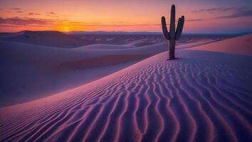 A cactus stands alone in the desert at sunset photo