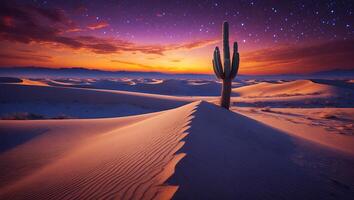 Desert landscape with cactus and stars photo