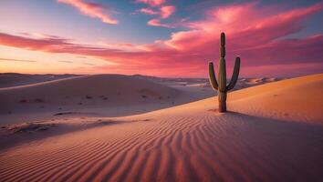 Cactus in Desert Sand Dune at Sunset photo