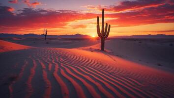A desert scene with two cactus plants and a sunset photo