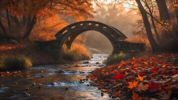 Stone Bridge Over River in Autumn Forest photo