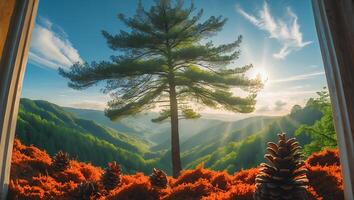 Tree with Pine Cone in Forest Mountain View at Sunrise photo
