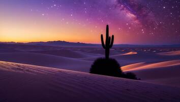 Cactus Silhouette in Desert Landscape with Night Sky photo