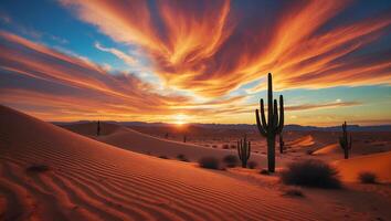 Desert Landscape at Sunset with Cactus and Sand Dunes photo