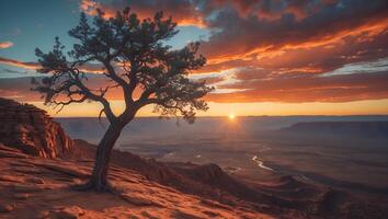 Desert Landscape with Tree and River at Sunset photo