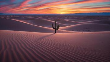 Cactus in Desert Sand Dunes with Colorful Sunrise Sky photo