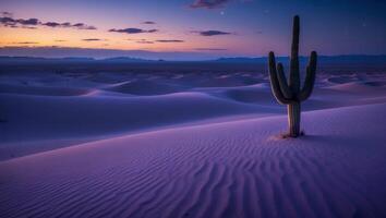 Desert Cactus Sunset Landscape with Sand Dunes and Mountain View photo