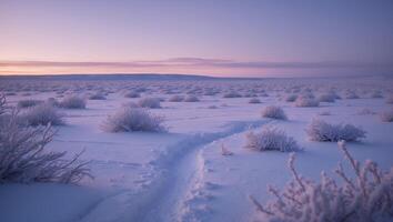 Snow Covered Landscape with Path at Dusk photo