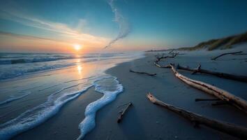 Sandy Beach at Sunset with Wave and Driftwood photo