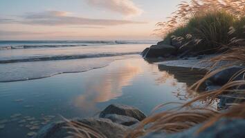Calm Beach Rocks with Grass at Sunset photo