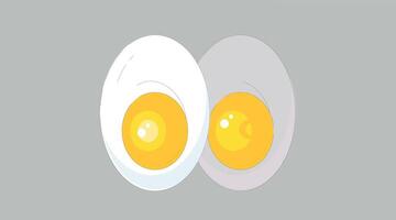 A stylized illustration of a boiled egg cut in half, showing the white outer layer and bright yellow yolk center vector