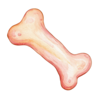 Isolated watercolor bone on transparent background. png