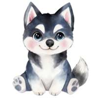 Cute husky puppy sitting on transparent background. png