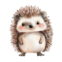 A smiling watercolor hog on transparent background. png