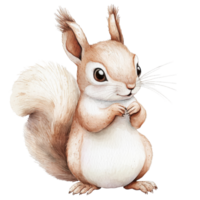 Squirrel watercolor art on transparent background. png
