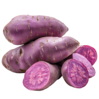 Pile of purple potatoes on transparent background. png