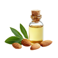 Almond oil and almonds transparent background. png