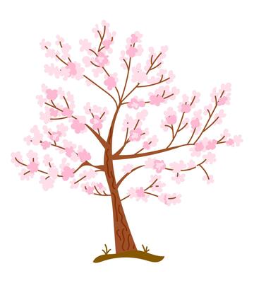 Hand drawn cherry blossom tree with pink flowers and brown branches isolated on white background. Concept of spring renewal, natural beauty and seasonal growth in an elegant floral illustration