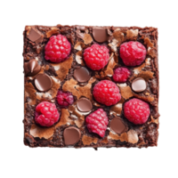Raspberry brownie square on transparent background png