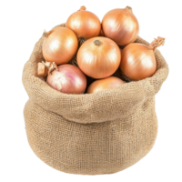 Onions in a burlap sack on transparent background png