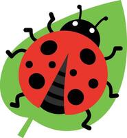 Ladybug on green leaf simple illustration in flat style for nature and insect themes vector