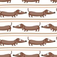 Seamless pattern with cute funny dachshund. Print for clothes, illustration. vector