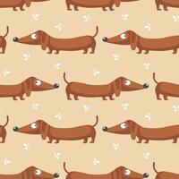 Seamless pattern with cute funny dachshund. Print for clothes, illustration vector