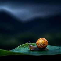 Snail crawling on a green leaf with blurred dark background photo