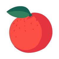 Bright orange fruit with leaf showcasing simple design elements vector