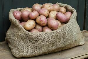 Burlap sack overflowing with freshly harvested potatoes on rustic wooden surface photo