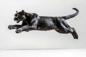 Black panther leaping forward with claws extended and mouth open photo