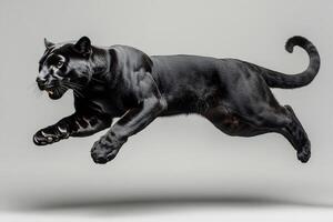 Black panther leaping forward on seamless gray background photo