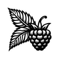 Fresh Raspberry Cluster Silhouette vector